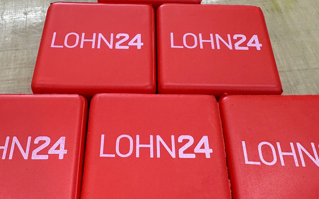 Lohn24 Stresswürfel